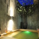 템플엑스 이미지