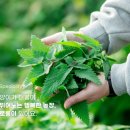 농업회사법인 꼼냥 주식회사 이미지