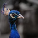 화천 검도관 이미지