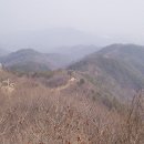 신포항