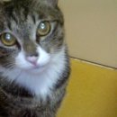 만덕2동-6 이미지