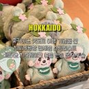 르파르 | 홋카이도 삿포로 여행 기념품 신치토세공항 면세점 쇼핑리스트 르타오 치즈케이크 여름 한정 몬치치 술