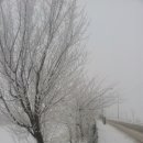 삼박농장 이미지