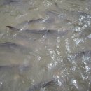 모모별장 이미지