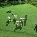 여기서 놀개 이미지