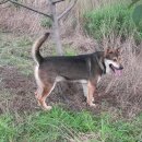 동태마루 이미지