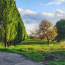 윤혜리정신건강의학과의원 이미지