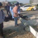 대한민국특수임무유공자회 이미지