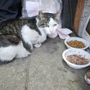 복덩이복권방 네이버블로그