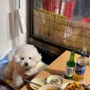 24시실내포장마차 이미지