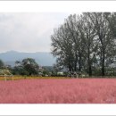 청주목장 이미지