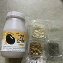 고산이모 이미지