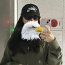 개구리PC | [내돈내산/분당판교안과] 판교연세독수리안과_라섹 수술 후기(추천!!)
