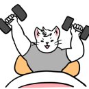 초이PT스튜디오 이미지