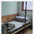 루첼라리아 이미지