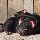 라이브재즈 이미지