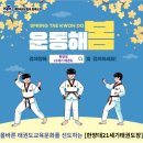 21세기 태권도 이미지