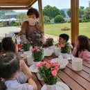 용성초교 병설유치원 이미지