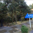 한라산천연보호구역 이미지