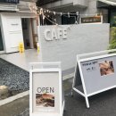 와일드앳스페이스
