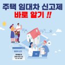 꿀벌부동산중개 이미지