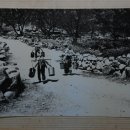 대율 Daum카페