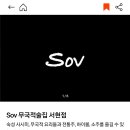 무국적술집SOV