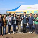 도창초등학교 이미지