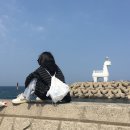 5월 총집합 본