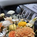 오델드 플레르 | 0. 본격적 준비는 부모님들께 인사부터 - 광주/전주 부모님 인사 선물 &amp; 꽃바구니 추천