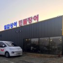 가나다온철갑상어