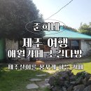 제주에산다면 | 제주 감성카페 소길다방 내돈내산 카이막 솔직후기