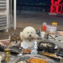 세븐일레븐 영종오션솔레뷰점 | 영종조개시장 영종도 애견동반 식당 구읍뱃터 가리비구이 오션뷰 맛집 내돈내산 후기