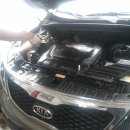 쟁이모터스 이미지