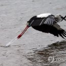 J0094 이미지