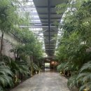 큐피트아랫마을 이미지