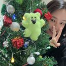 [여주_다이소] 크리스마스 파티 준비하기🎄🎅_여주 다이소 백사점(여주지역 최대매장 150평)