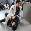 팀하운드광명주짓수 네이버블로그