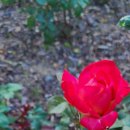 풀잎지역아동센터 이미지