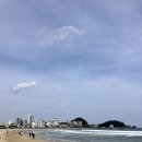 고두섬횟집 | [공지] (358)[부산/해운대]해운대 해안 트레킹 추천코스.미포철길.그린레일웨이.(해운대-&gt;청사포-&gt;송정...