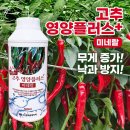 (주)이온플러스 이미지
