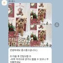 콩스몽스 이미지