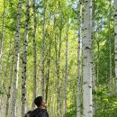 당돌이당구클럽 이미지