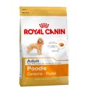 야옹아멍멍해봐 장유점 이미지