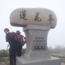 백두대간 14구간(고치령~죽령 25km)-소백산 산행기(2015.5.30) 이미지