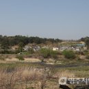 안심2리 이미지