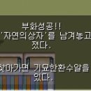 기묘4