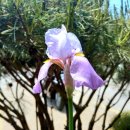 동주농장 이미지