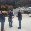 무릉도원면-20 이미지