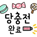 비비드마카롱 이미지